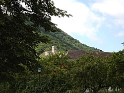 Wauchau_030.jpg